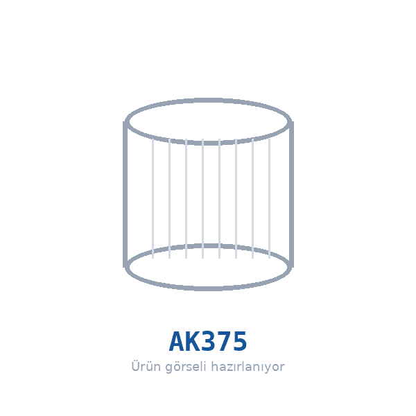 FILTRON AK375 Hava Filtresi