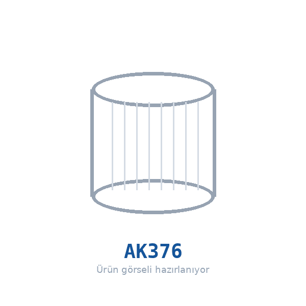 FILTRON AK376 Hava Filtresi