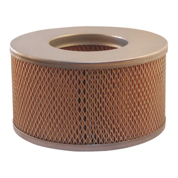 FILTRON AM352/2 Hava Filtresi