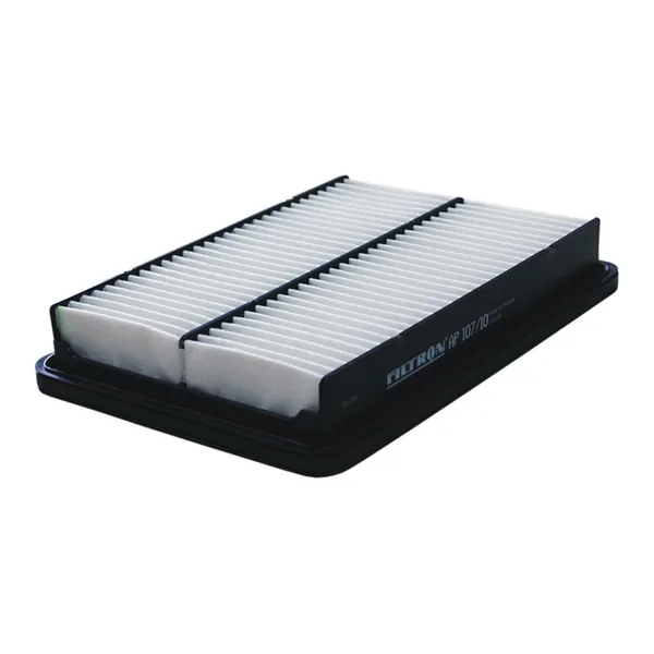 FILTRON AP107/10 Hava Filtresi