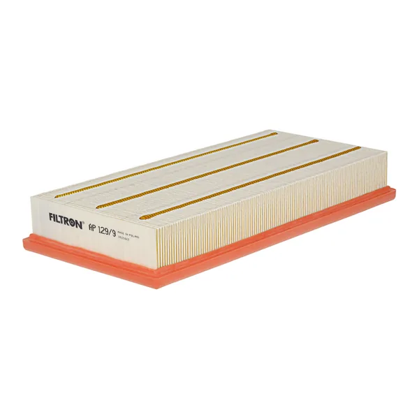 FILTRON AP129/9 Hava Filtresi