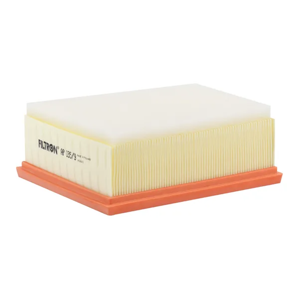 FILTRON AP135/9 Hava Filtresi