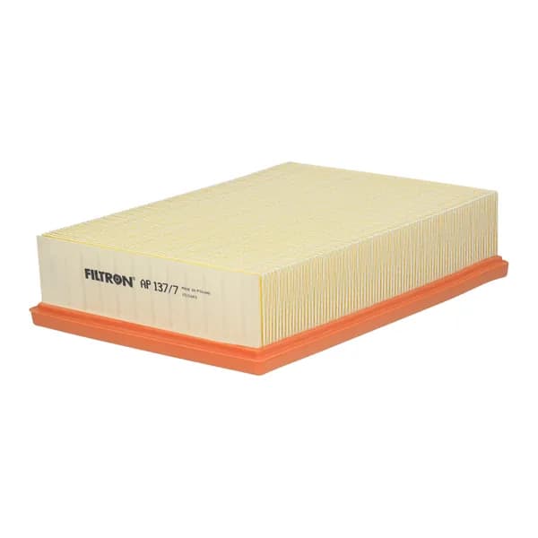 FILTRON AP137/7 Hava Filtresi