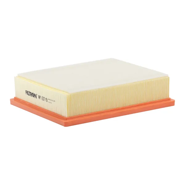 FILTRON AP137/9 Hava Filtresi