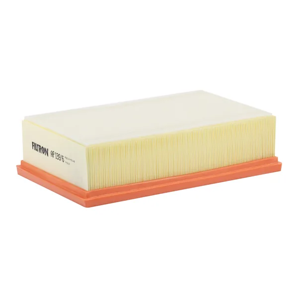 FILTRON AP139/6 Hava Filtresi