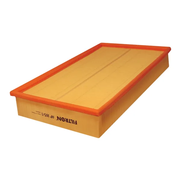 FILTRON AP165/1 Hava Filtresi