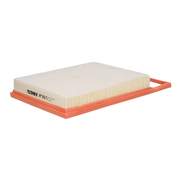 FILTRON AP183/5 Hava Filtresi