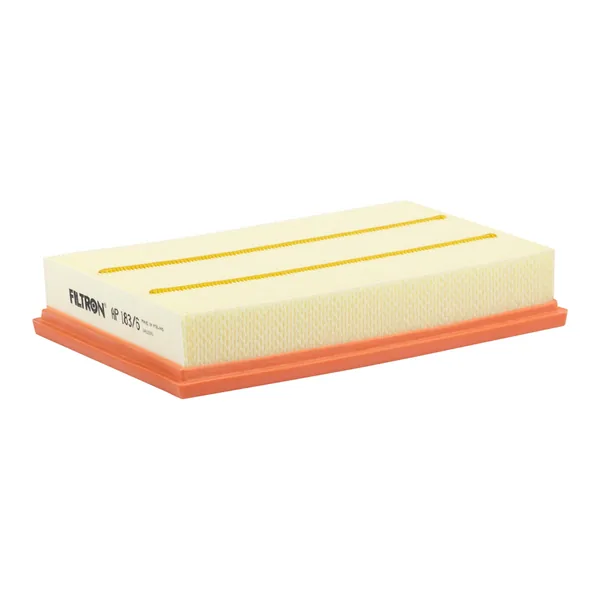 FILTRON AP183/6 Hava Filtresi