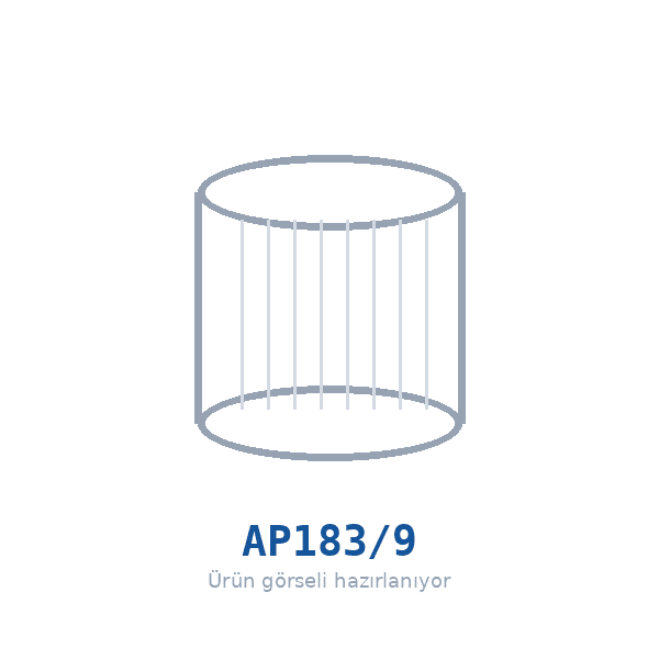 FILTRON AP183/9 Hava Filtresi