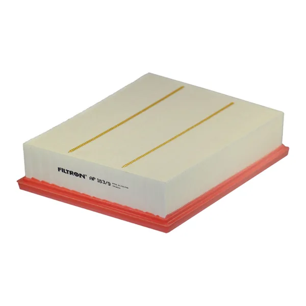 FILTRON AP183/9 Hava Filtresi