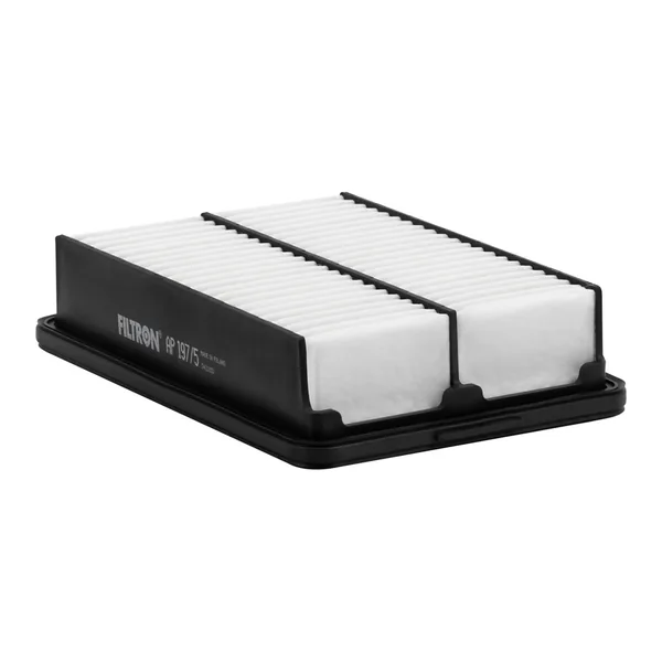 FILTRON AP197/5 Hava Filtresi