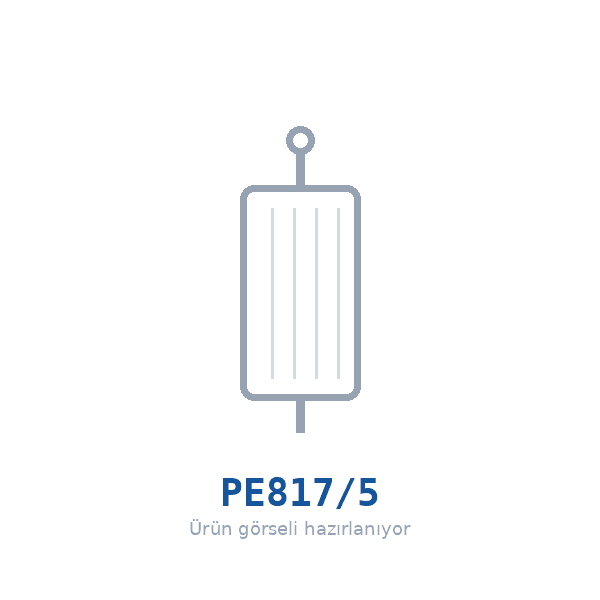 FILTRON PE817/5 Yakıt Filtresi