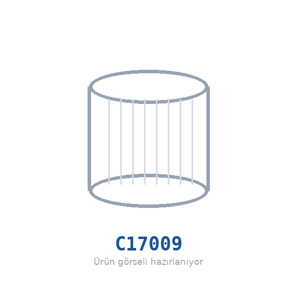 MANN-FILTER C17009 Hava Filtresi