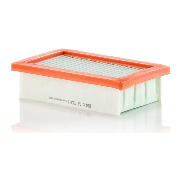 MANN-FILTER C22033/1 Hava Filtresi