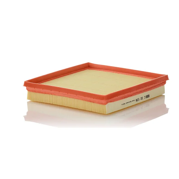 MANN-FILTER C22038 Hava Filtresi