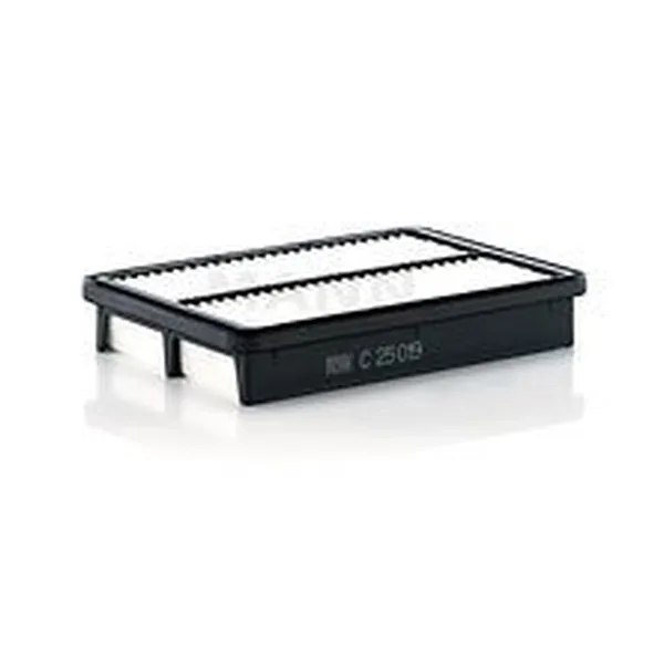 MANN-FILTER C25019 Hava Filtresi