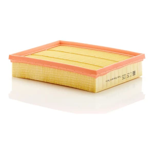MANN-FILTER C25035 Hava Filtresi