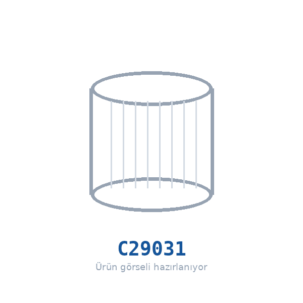 MANN-FILTER C29031 Hava Filtresi