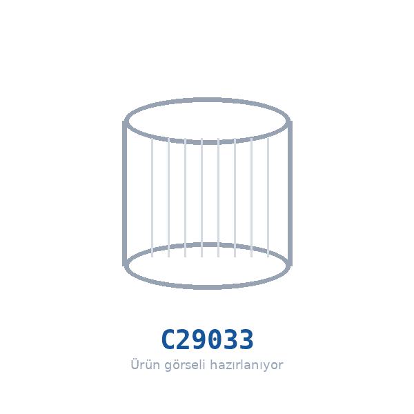 MANN-FILTER C29033 Hava Filtresi