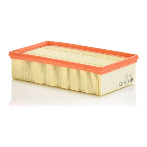 MANN-FILTER C29033 Hava Filtresi