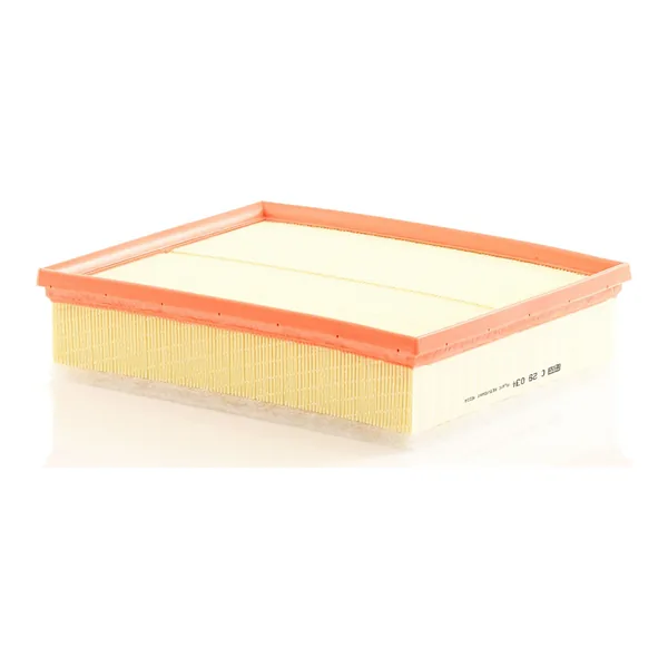 MANN-FILTER C29034 Hava Filtresi