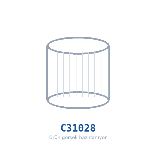 MANN-FILTER C31028 Hava Filtresi