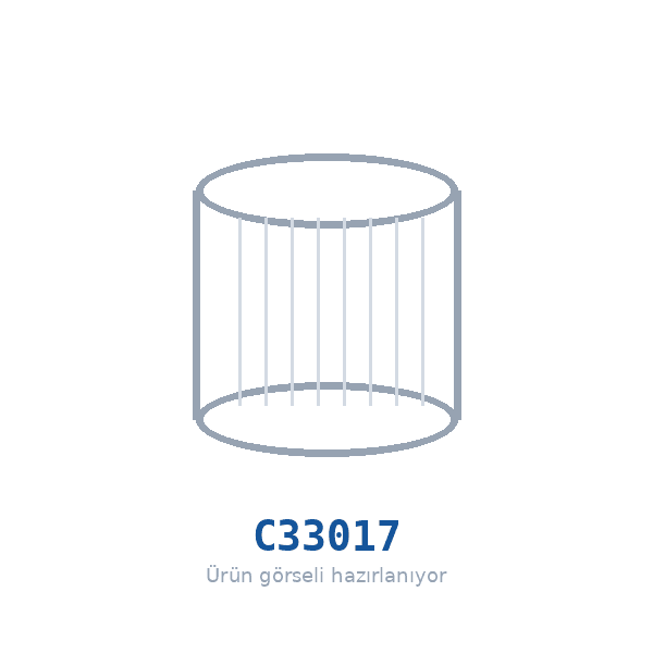 MANN-FILTER C33017 Hava Filtresi