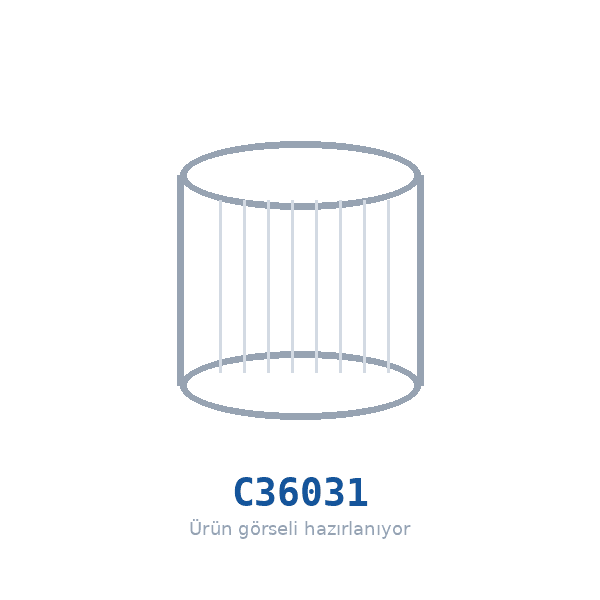 MANN-FILTER C36031 Hava Filtresi