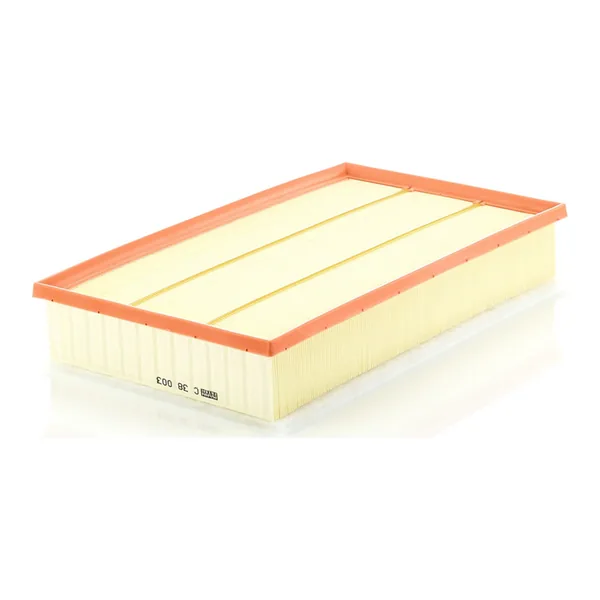 MANN-FILTER C38003 Hava Filtresi