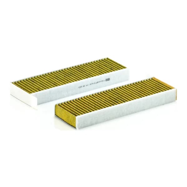 MANN-FILTER FP29003-2 Polen / Kabin Filtresi