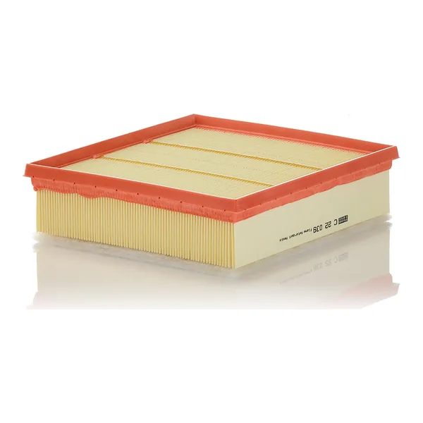 MANN-FILTER C22039 Hava Filtresi
